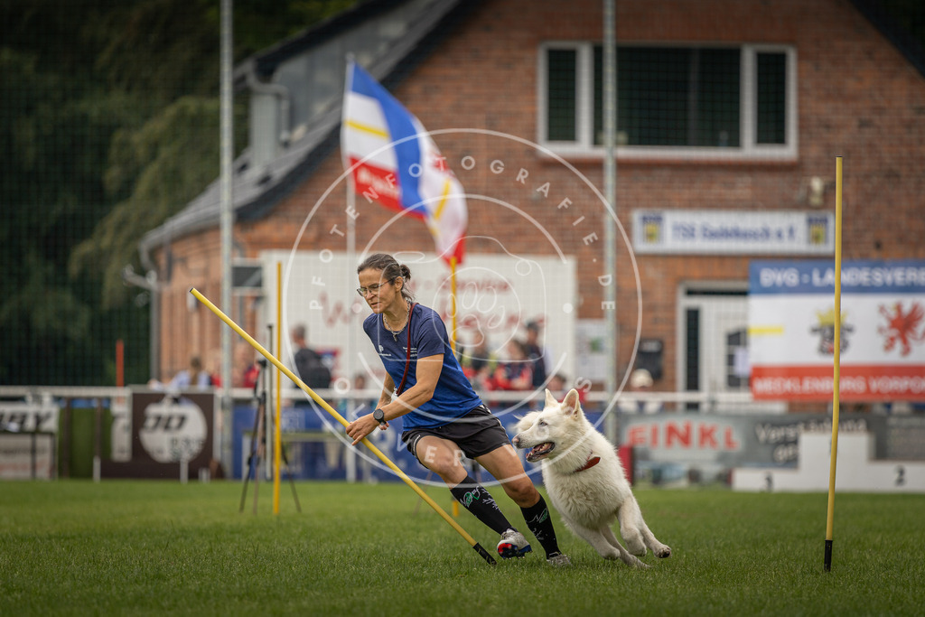 Pfotenfotografie_DV3A7924 | Hundefotografie, Tierfotograf, Pfotenfotografie, Fotoshooting Hund, Hunde Portrait, Hundesport, Hundeportraits, Heideshooting, Hunde, Sportfotograf, Hundefotograf, Turnierhundsport, THS,  - Realisiert mit Pictrs.com