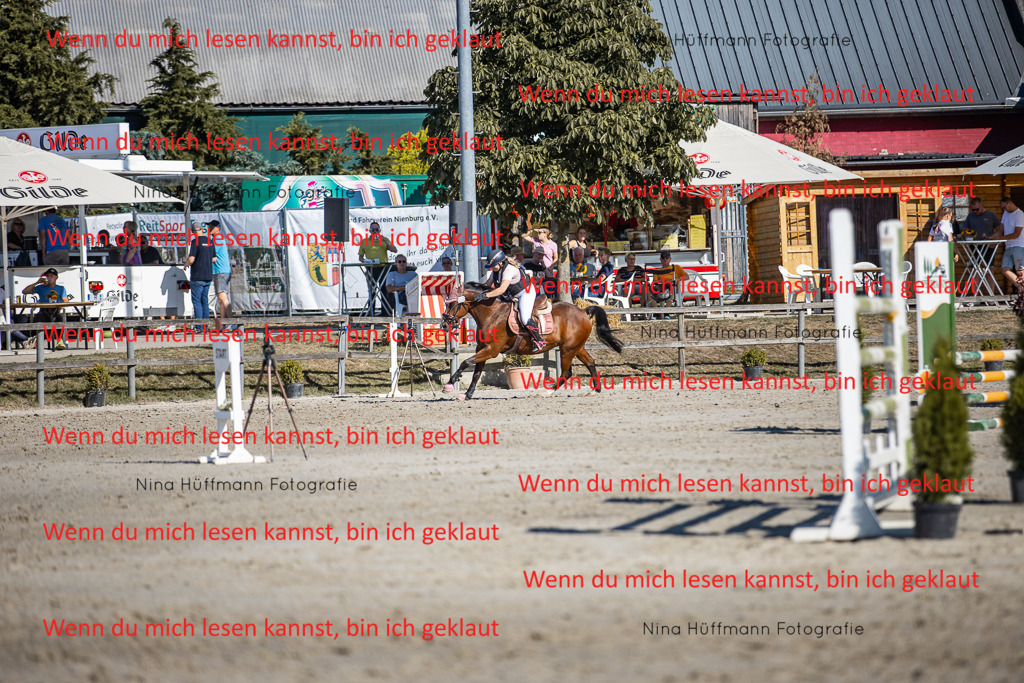 BK1A8095 | Turnierbilder Turnierfotos Nina Hüffmann Turnierfotografie Pferdefotografie Tierzeichnung Haustierzeichnung Pferdezeichnung Hundezeichnung Videograf  - Realisiert mit Pictrs.com
