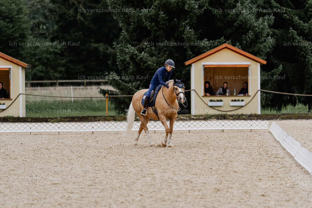 Nici11_FHC2025-8290 | working equitationturnier fotograf videograf stoibphotography marixx film working equitation deutschland reitsport turnierfotografie eventfotografie equestrian events