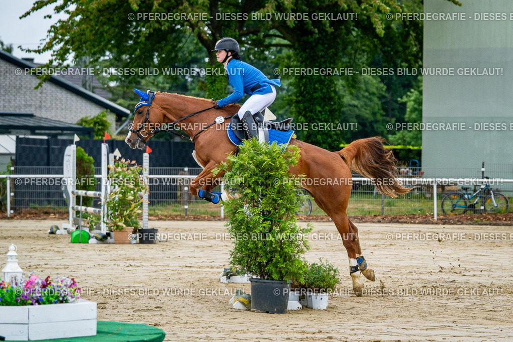 DSC02754 | Pferdegrafie