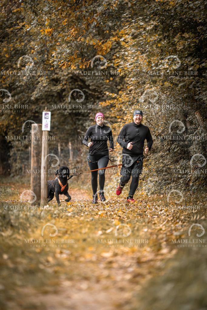 madeleinebirr-fotografie2025.campcanis.sa.8-9Uhr-17 | hundefotografie-birr