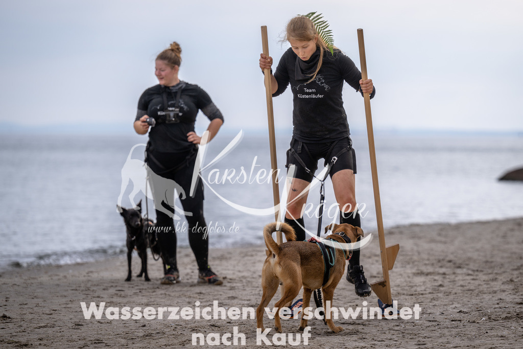 1145_ZZ93769 | kk-dogfotos