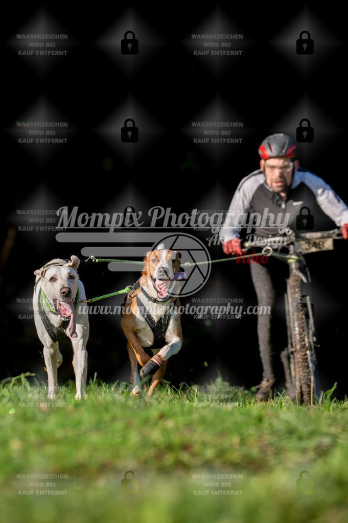 TSB_2023_E7_DS2-10 | PayLife