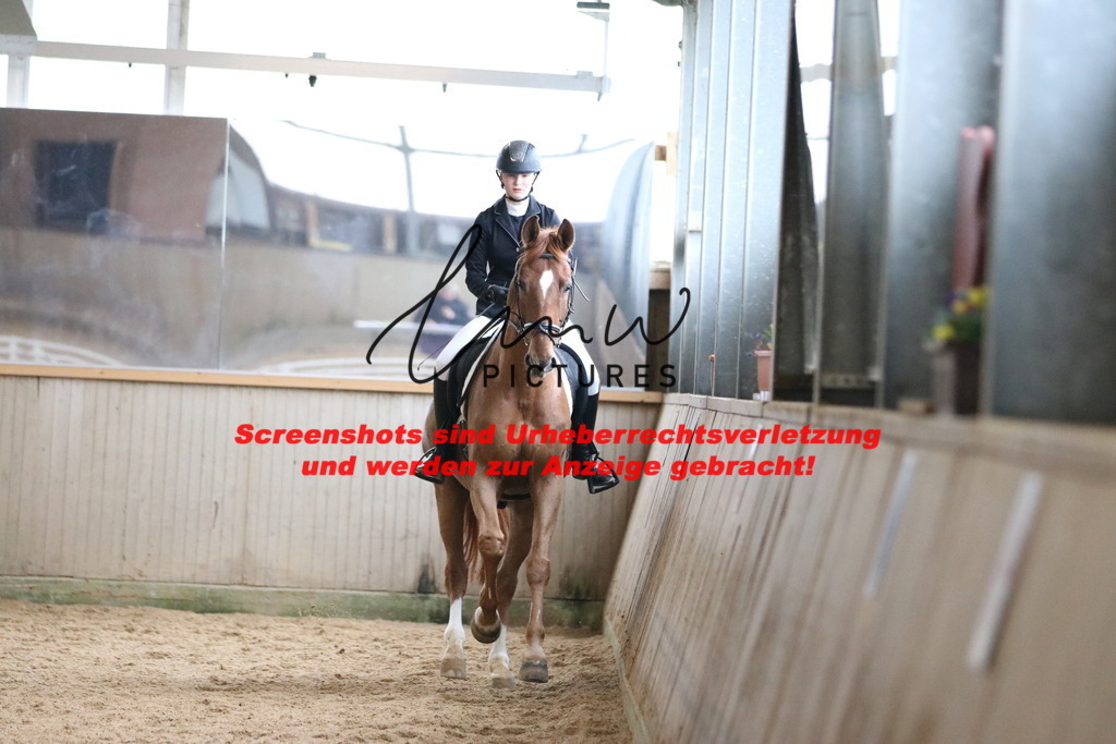 IMG_7818 | lmwpictures - Realisiert mit Pictrs.com