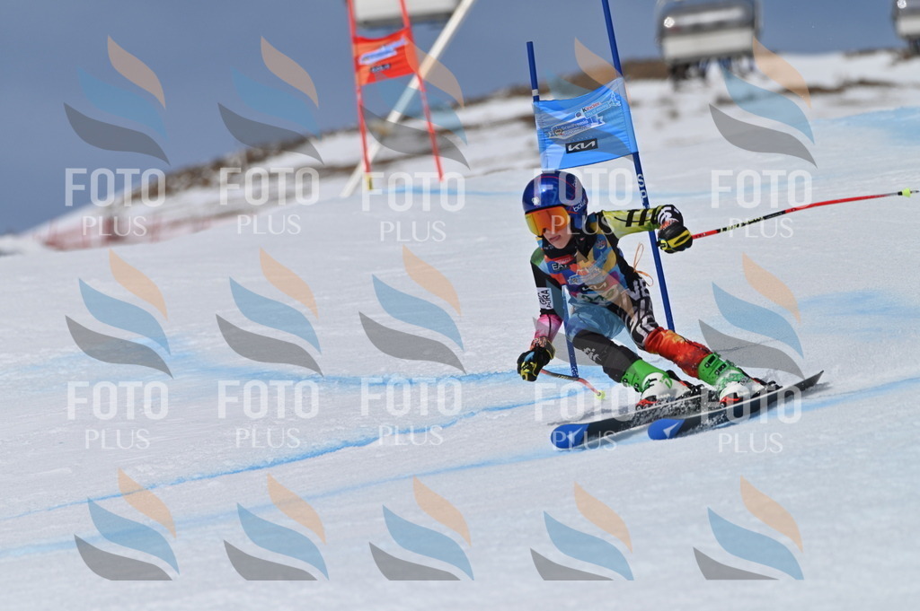 BGV_6823 | holidayphoto