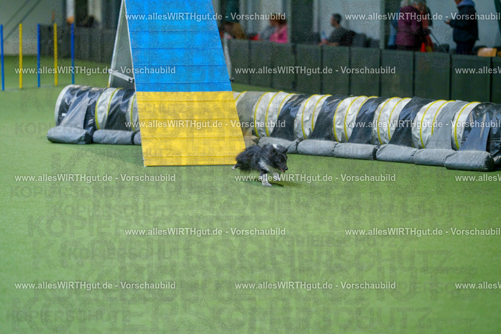 @allesWIRTHgut_Tierfotografie - www.allesWIRTHgut.de - 2604250840-7R507347 | Professionelle Tierfotografie in Mönchengladbach von Daniel Wirth (allesWIRTHgut). Liebevolle & natürliche Bilder von Hunden & Katzen für unvergessliche Erinnerungen.