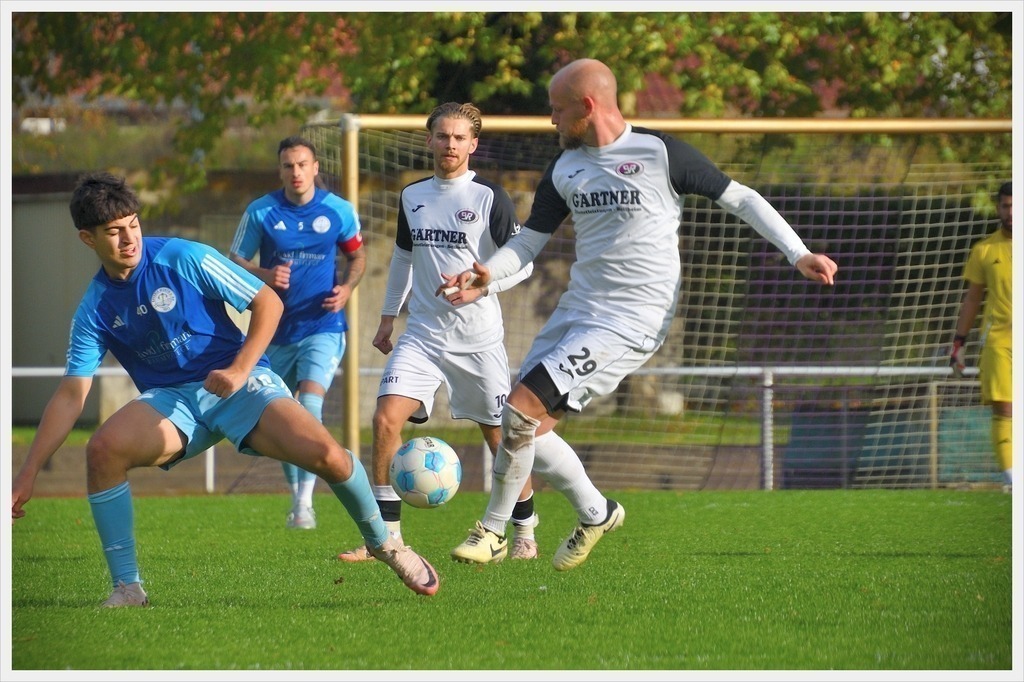 batch_2DSC_6422_1920SVR 23.08.23_Nikon | PFALZFOTO - Serena Wobus - Realisiert mit Pictrs.com