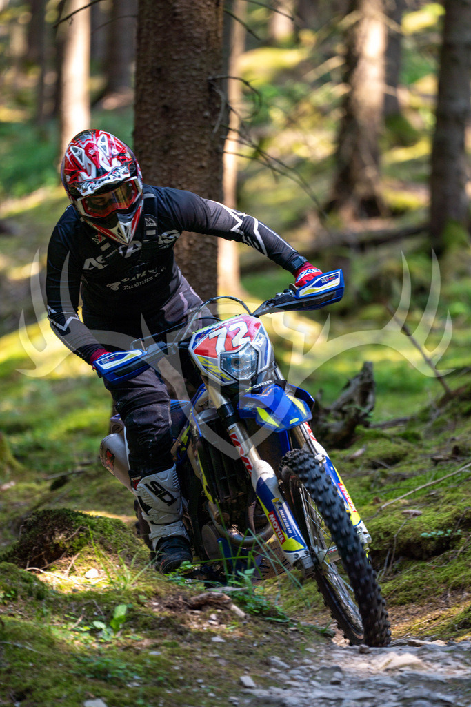 _DSC7604 | Fotogalerie der Treibjagd im Dunkelwald - Dein MTB Etappenrennen im Erzgebirge - Realisiert mit Pictrs.com