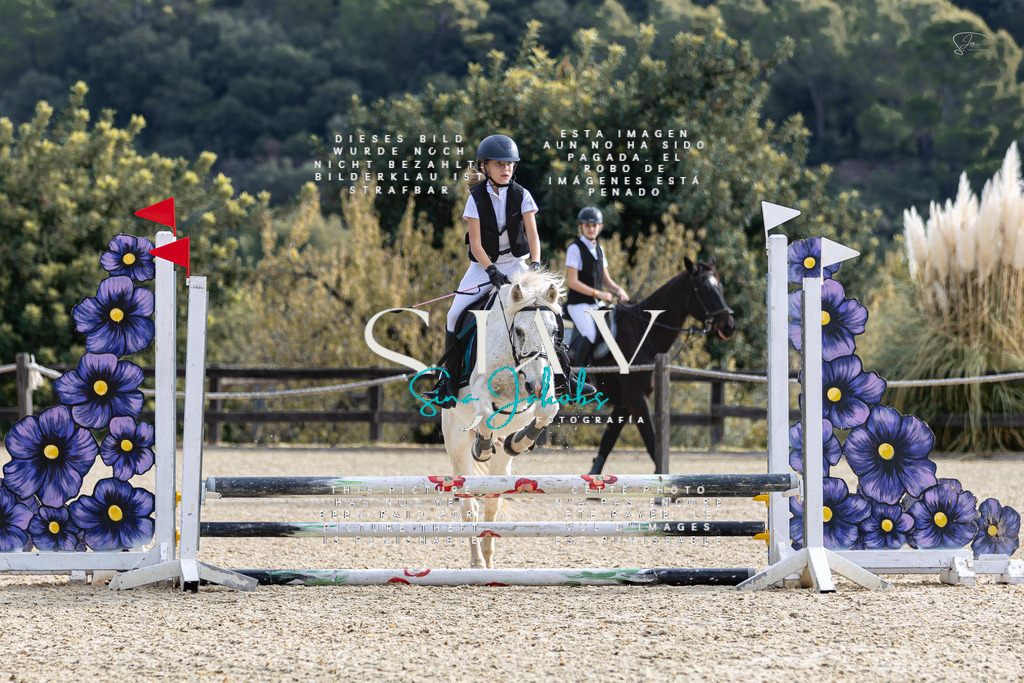 IMG_5235 | s-jay-photography - Realisiert mit Pictrs.com