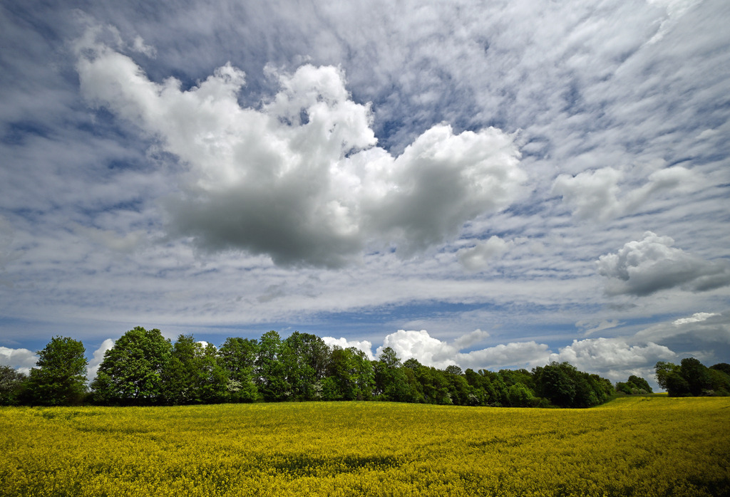 LandschaftNeubrunn05p-3 | lucisnaturbilder - Realisiert mit Pictrs.com