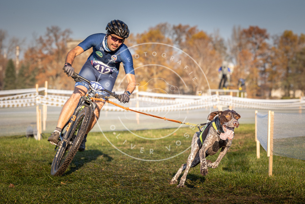 CaniXpix_0L8A4082 | Hundefotografie, Tierfotograf, Pfotenfotografie, Fotoshooting Hund, Hunde Portrait, Hundesport, Hundeportraits, Heideshooting, Hunde, Sportfotograf, Hundefotograf, Turnierhundsport, THS,  - Realisiert mit Pictrs.com
