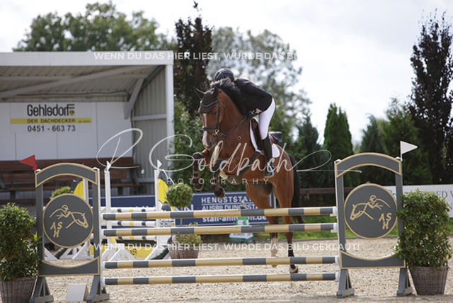 1J2A2506Paula de Boer-Schwarz_ Varello H_ Kn969_ Havekost | Foto- und Videografie für alles rund ums Pferd. Hochwertige Bilder und Videos vom Spring- und Dressurreiten, Voltigieren & mehr. Jetzt aktuelle Veranstaltungen und Preise im Shop ansehen. - Realisiert mit Pictrs.com