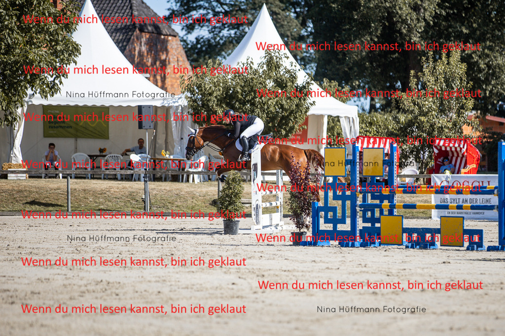 BK1A7077 | Turnierbilder Turnierfotos Nina Hüffmann Turnierfotografie Pferdefotografie Tierzeichnung Haustierzeichnung Pferdezeichnung Hundezeichnung Videograf  - Realisiert mit Pictrs.com