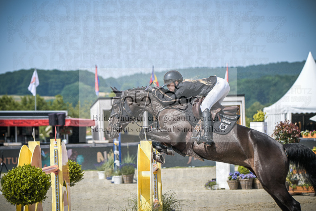 DOS_6282 | Entdecke hochwertige Reitturnierfotos von Foto Oger. Professionell, emotional und authentisch – jetzt Lieblingsmomente im Shop bestellen.Deutschlandweite Turnierfotografie. - Realisiert mit Pictrs.com