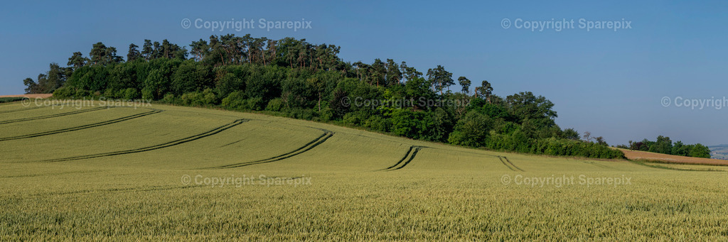 PAN_Outlook_Green_Field1 | sparepix - Realisiert mit Pictrs.com