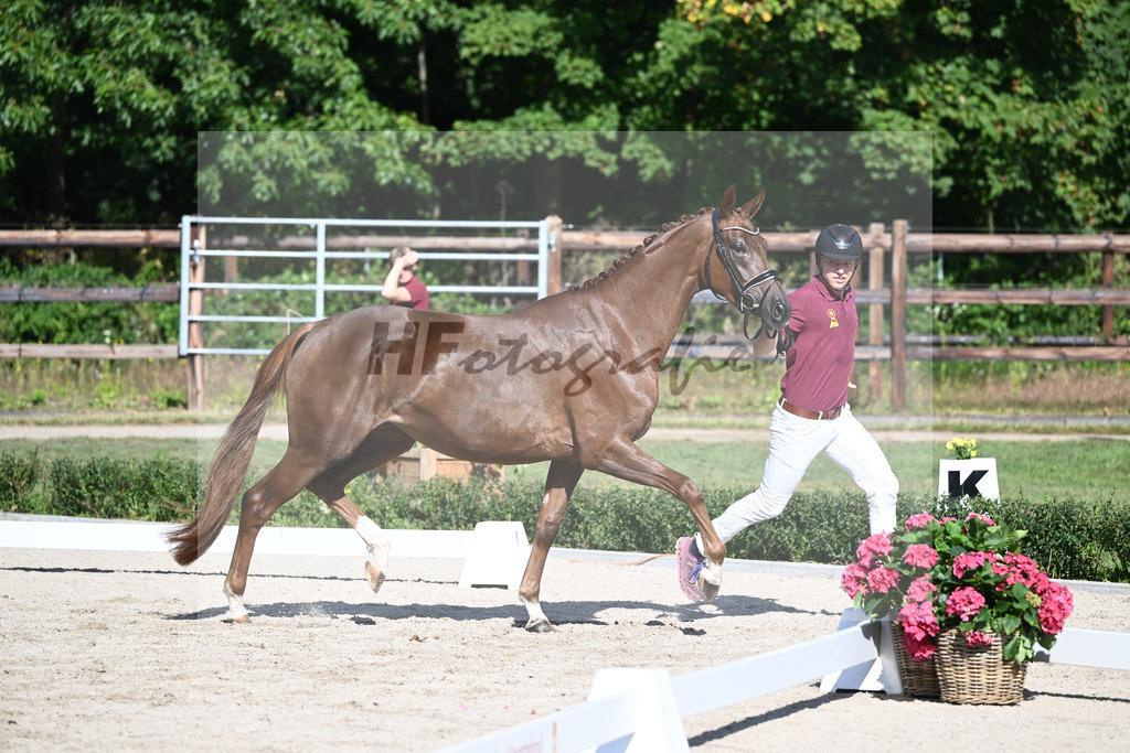 Kat-Nr. 20 Qaskiya_Kloessinger_36230798 | hf-fotografie - Realisiert mit Pictrs.com