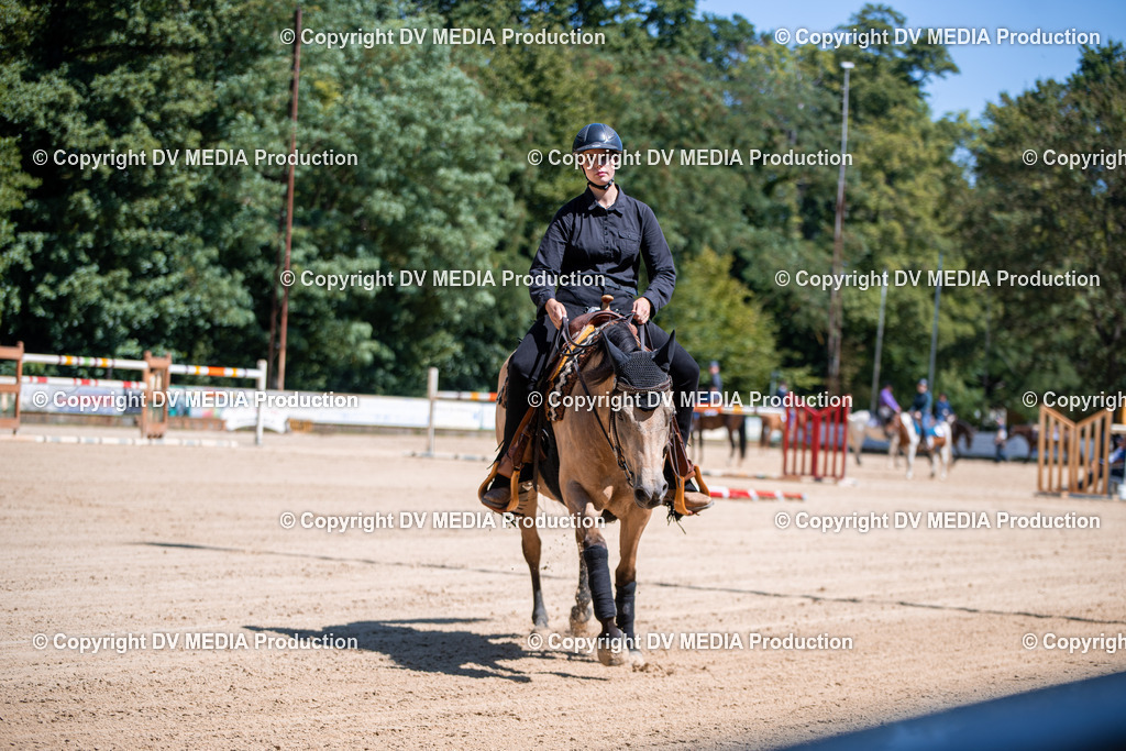 ZS1_1062 | dv-media-shop - Realisiert mit Pictrs.com