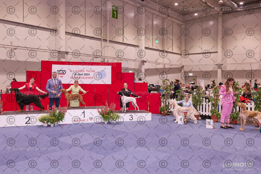 202406_ÖKV-IHA-Tulln24_NZ9_9552 | proPHOTO - Realisiert mit Pictrs.com