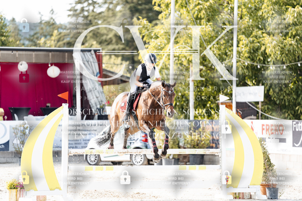 CK905834 | Turnierfotografie Pferdefotografie Trier Rheinland-Pfalz Pferdesport Reitsport Tierfotografie Sportfotografie Pferdevideo Pferdevideografie Equestrianvideography equestrianphotography  - Realisiert mit Pictrs.com