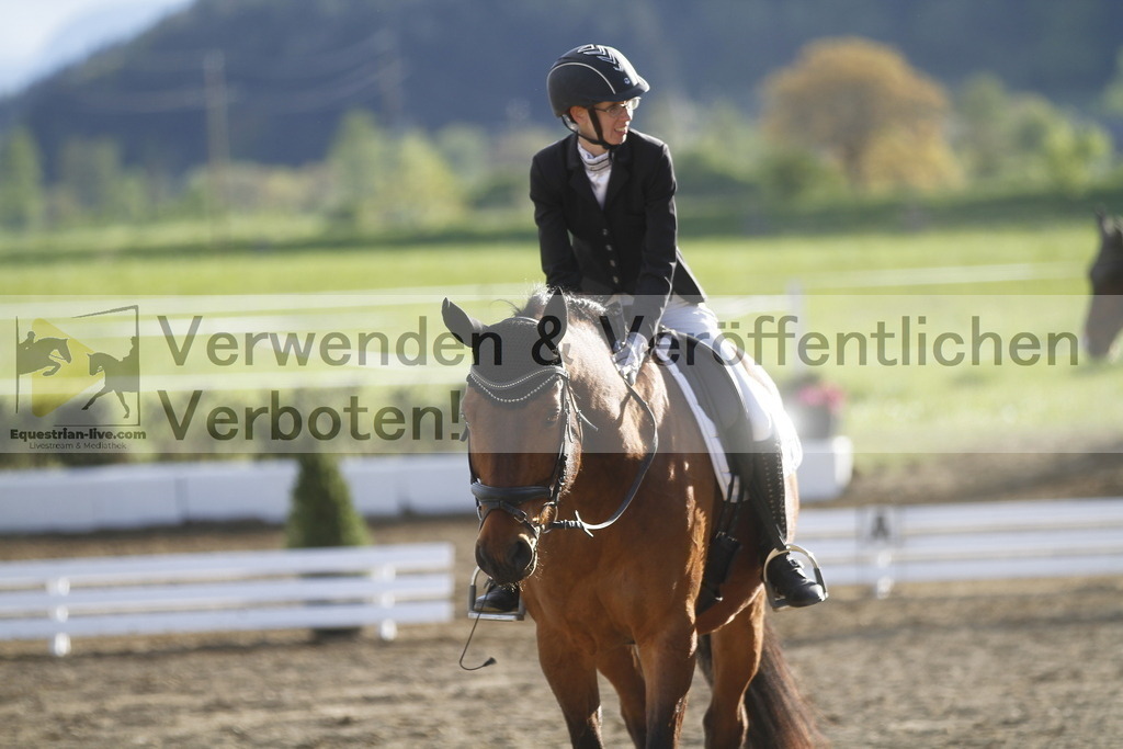 _MG_4331 | equestrian-live-com