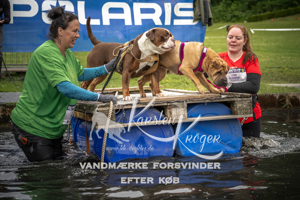 1003_ZZ93934 | kk-dogfotos
