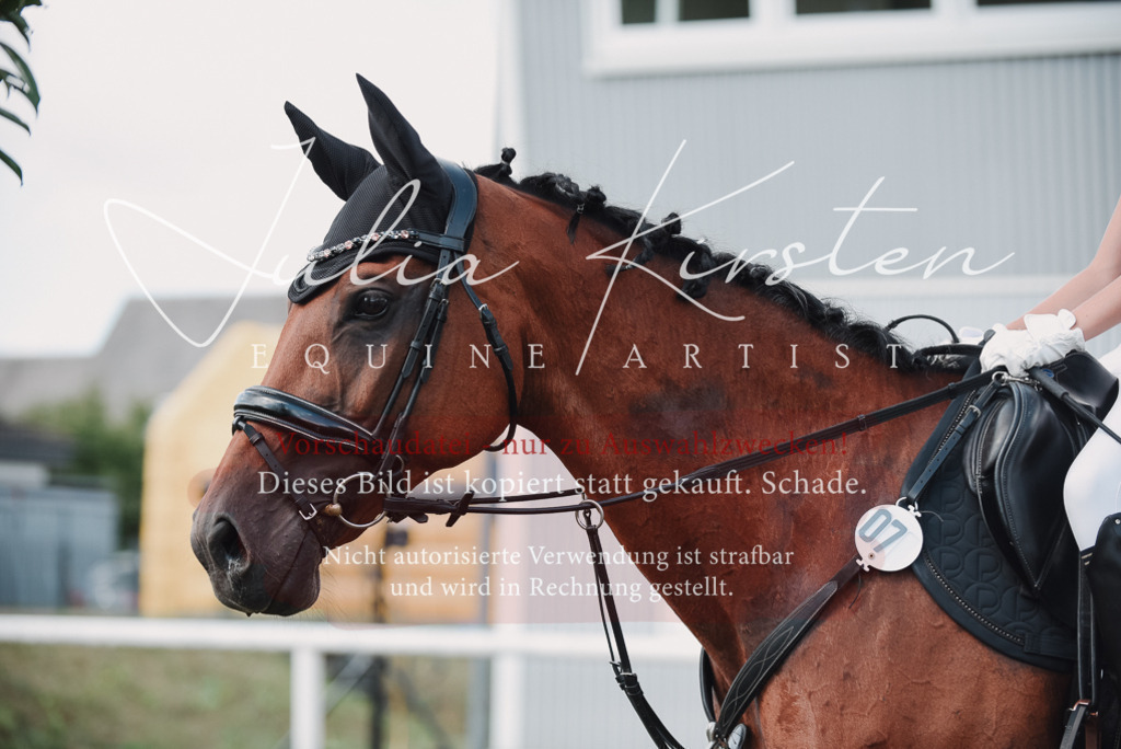 DSC_5647 | Pferde- und Turnierfotografie in Westsachsen. Pferdeportraits, Auftragszeichnungen und intuitive Kunst.