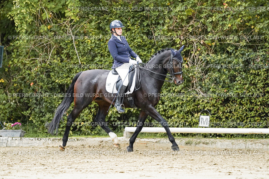 DSC06174 | Pferdegrafie