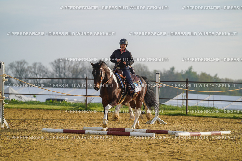 DSC09873 | Pferdegrafie