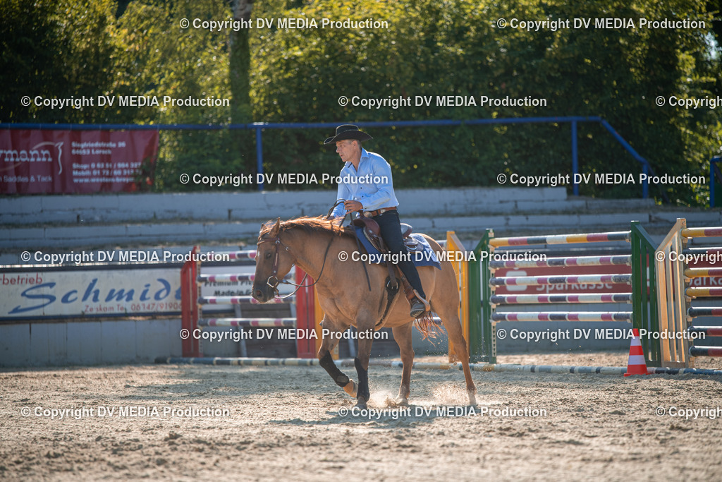 EWP_7073 | dv-media-shop - Realisiert mit Pictrs.com