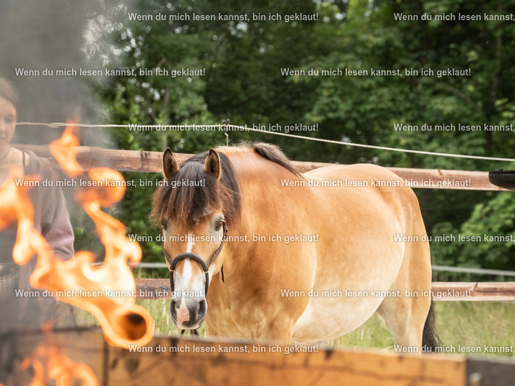 598A6908 | photographylinaismer - Realisiert mit Pictrs.com