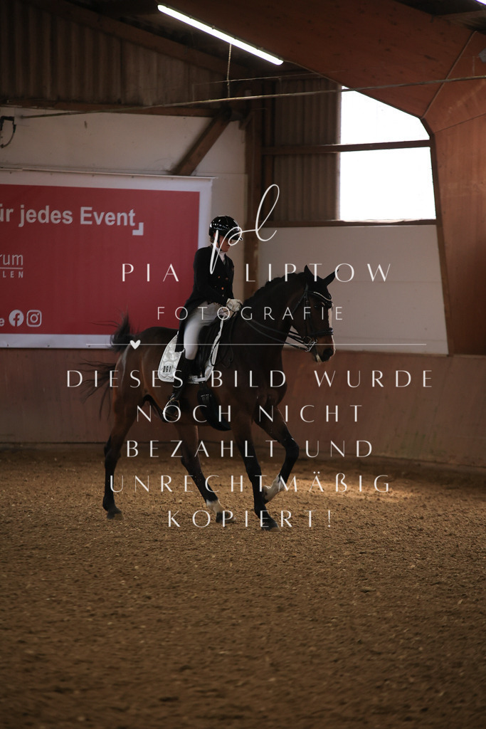 IMGT4421 | pl-fotografie