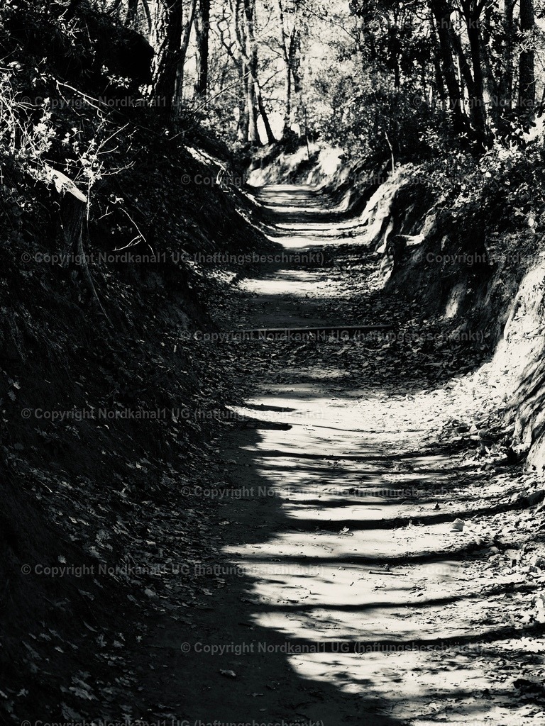 IMG_2961 | OLYMPUS DIGITAL CAMERA          - Realisiert mit Pictrs.com