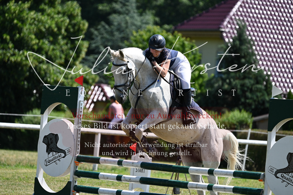DSC_0612 | Pferde- und Turnierfotografie in Westsachsen. Pferdeportraits, Auftragszeichnungen und intuitive Kunst.