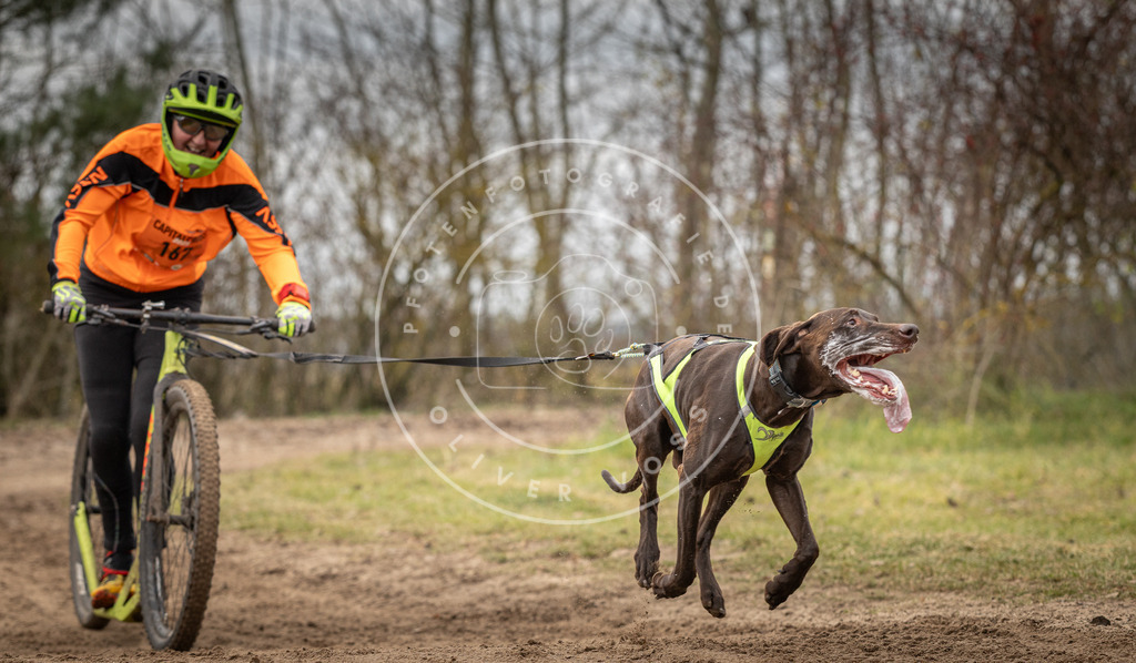 Pfotenfotografie_DV3A9581 | Hundefotografie, Tierfotograf, Pfotenfotografie, Fotoshooting Hund, Hunde Portrait, Hundesport, Hundeportraits, Heideshooting, Hunde, Sportfotograf, Hundefotograf, Turnierhundsport, THS,  - Realisiert mit Pictrs.com