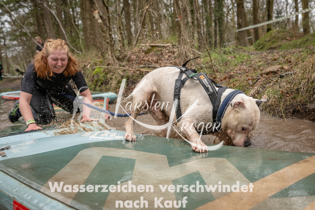 1138_ZZ93924 | kk-dogfotos