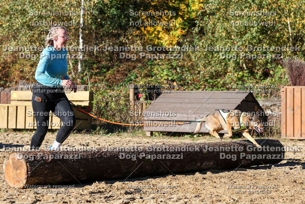 Dog Paparazzi - Strongdog 10-25-1996 | Dog Paparazzi Jeanette Grottendiek Fotografie & Videografie - Realisiert mit Pictrs.com