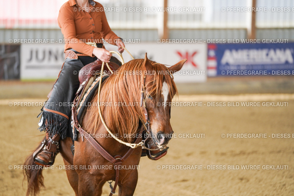 DSC02877 | Pferdegrafie