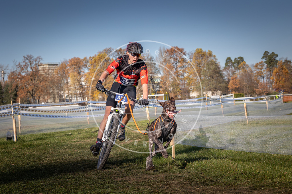 CaniXpix_0L8A6097 | Hundefotografie, Tierfotograf, Pfotenfotografie, Fotoshooting Hund, Hunde Portrait, Hundesport, Hundeportraits, Heideshooting, Hunde, Sportfotograf, Hundefotograf, Turnierhundsport, THS,  - Realisiert mit Pictrs.com