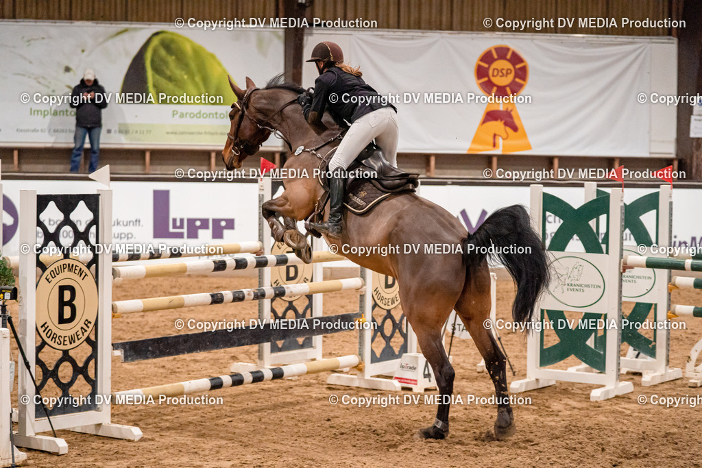 Kranichstein Tag 2-1247 | dv-media-shop - Realisiert mit Pictrs.com