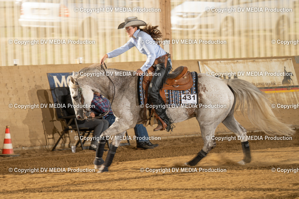 LAU01919 | dv-media-shop - Realisiert mit Pictrs.com