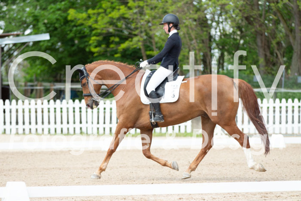 IMG_6127 | Creatify Fotografie