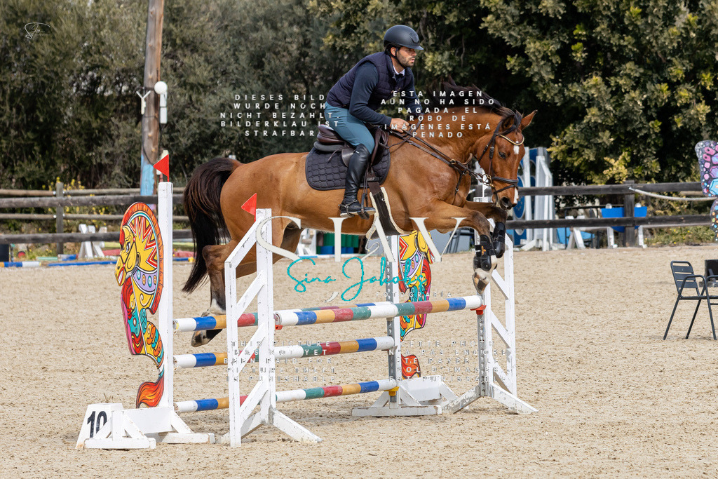 IMG_3793 | s-jay-photography - Realisiert mit Pictrs.com