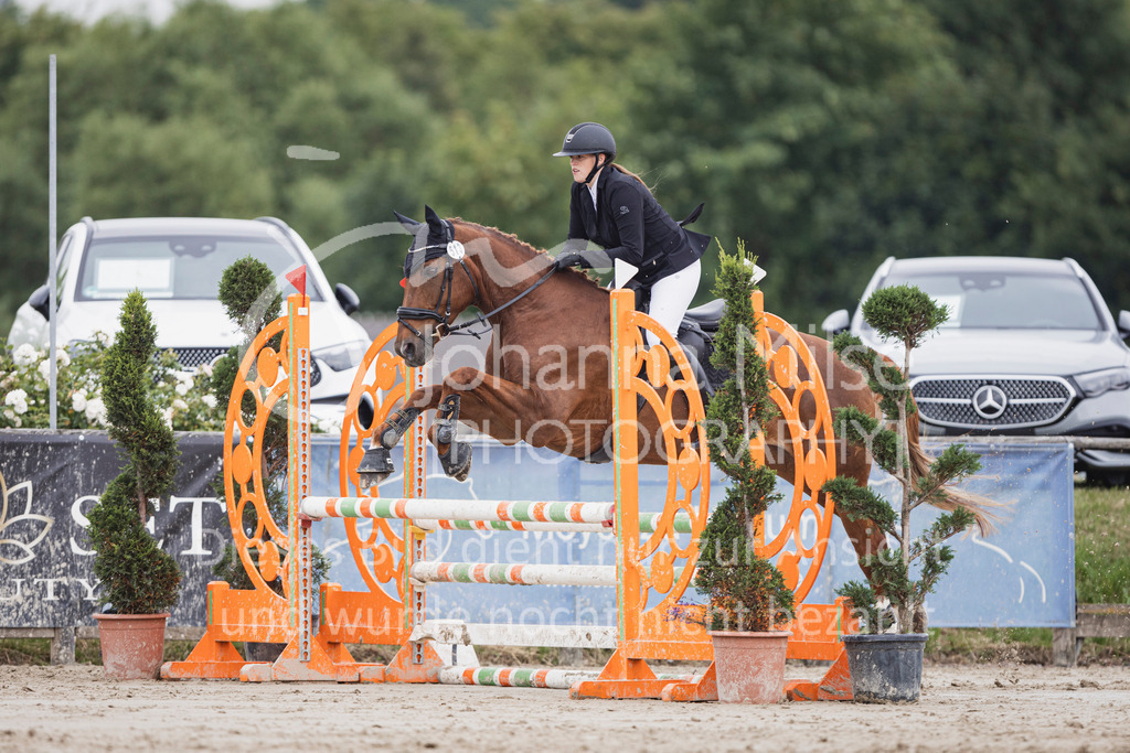 250627_PfSpTa_Stil-A1-186 | Deine schönsten Turniermomente als professionelle Fotos! Entdecke hochwertige Pferdesport-Fotografie im Online-Shop. Jetzt Fotos finden & bestellen!