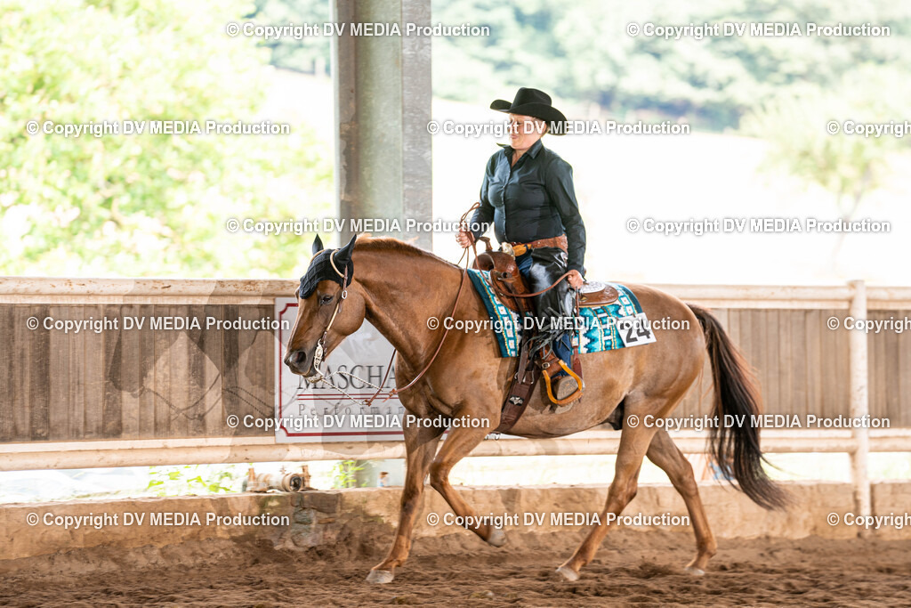 Erbach Tag 1-719 | dv-media-shop - Realisiert mit Pictrs.com