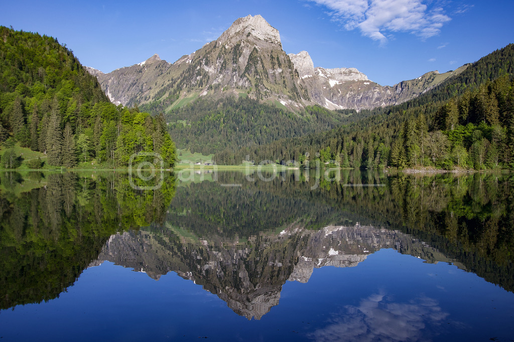 A.Trupina-247 | antonija-trupina - Realisiert mit Pictrs.com