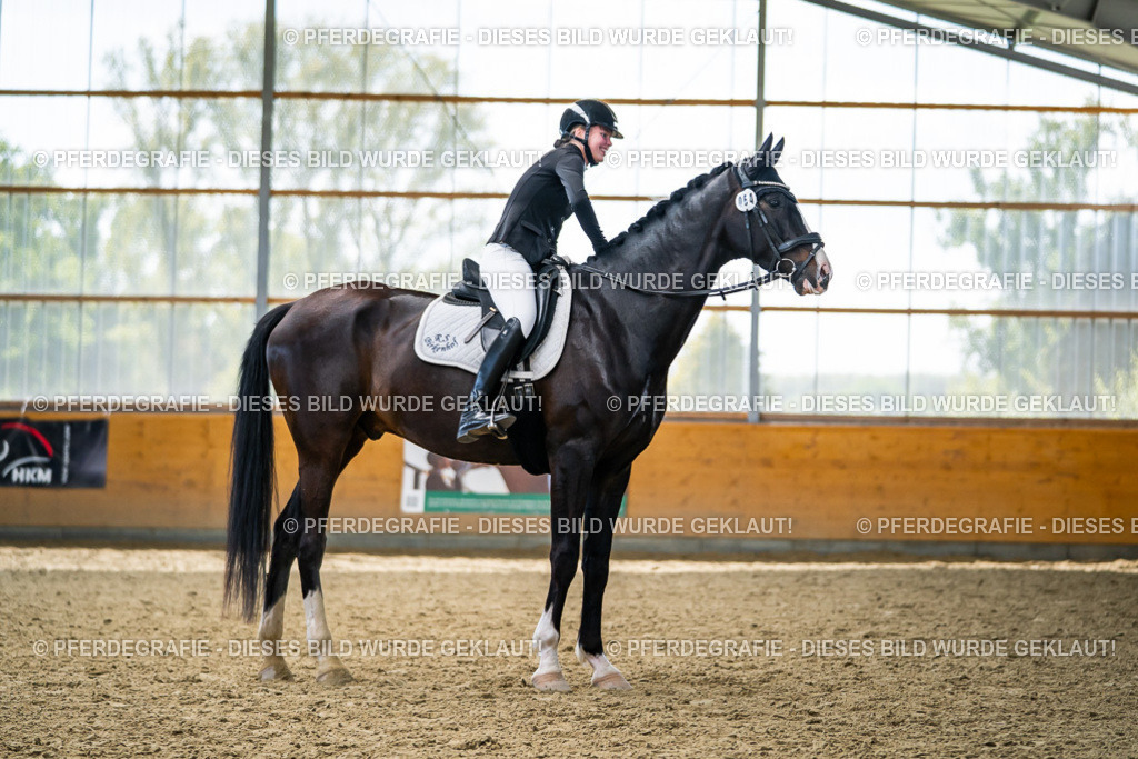 DSC06007 | Pferdegrafie