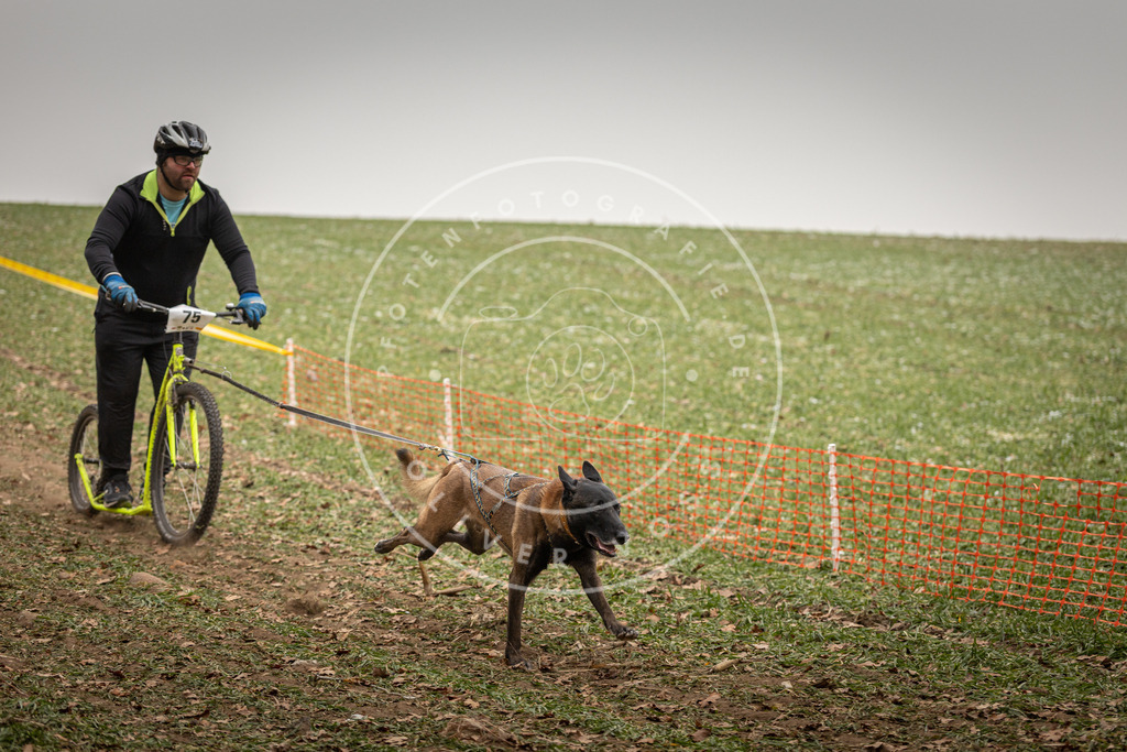 Pfotenfotografie_DV3A3904 | Hundefotografie, Tierfotograf, Pfotenfotografie, Fotoshooting Hund, Hunde Portrait, Hundesport, Hundeportraits, Heideshooting, Hunde, Sportfotograf, Hundefotograf, Turnierhundsport, THS,  - Realisiert mit Pictrs.com