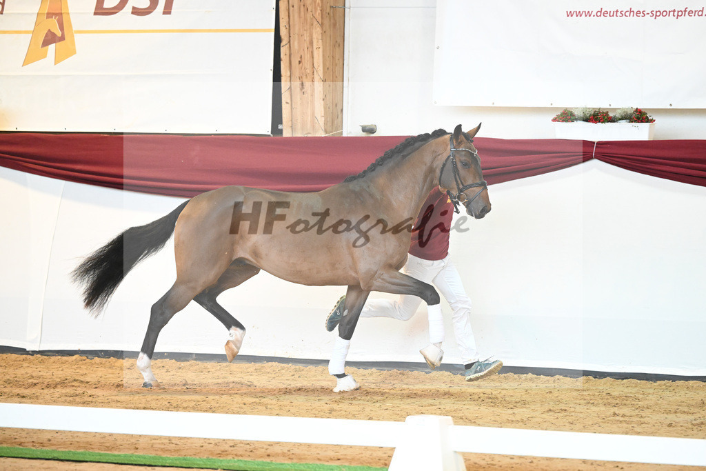 Kat-Nr. 3 v. Baron_Brors_66221556 | hf-fotografie - Realisiert mit Pictrs.com