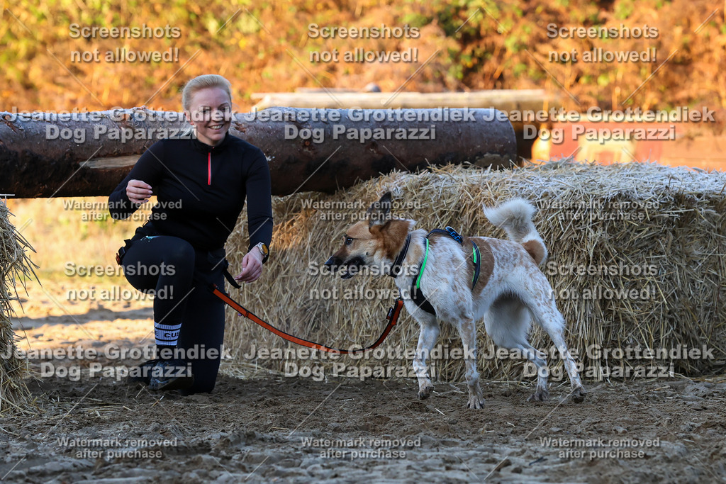 Dog Paparazzi - Strongdog 10-25-476 | Dog Paparazzi Jeanette Grottendiek Fotografie & Videografie - Realisiert mit Pictrs.com