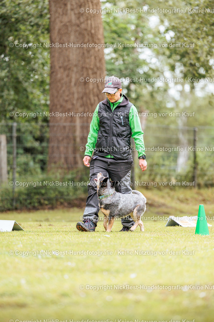 RO-Blumenthal-2026-Nickbest-Hundefotografie-1796 | Dein Hund! Dein Moment! Deine Erinnerungen! Hundefotografie in Bremen Blumenthal. Ich fange die besonderen Momente deines Vierbeiners ein – ob Indoor mit Blitzanlage oder in der freien Natur. Sicher dir dein Moment und dein Termin für eure Erinnerungen.